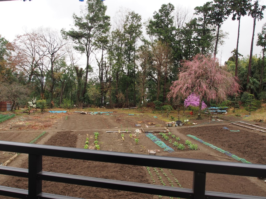 This view made it impossible not to do my yoga in the mornings