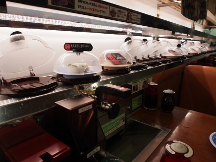 I figured how to work the Sushi Spaceships much quicker than I did the "automatic" door. 