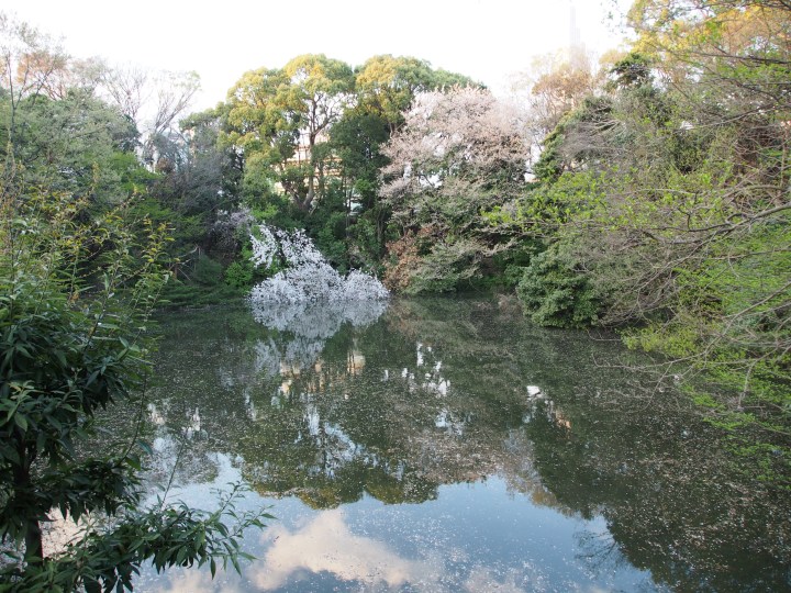 Rounded a turn in the path, only to be greeted with this sight. 