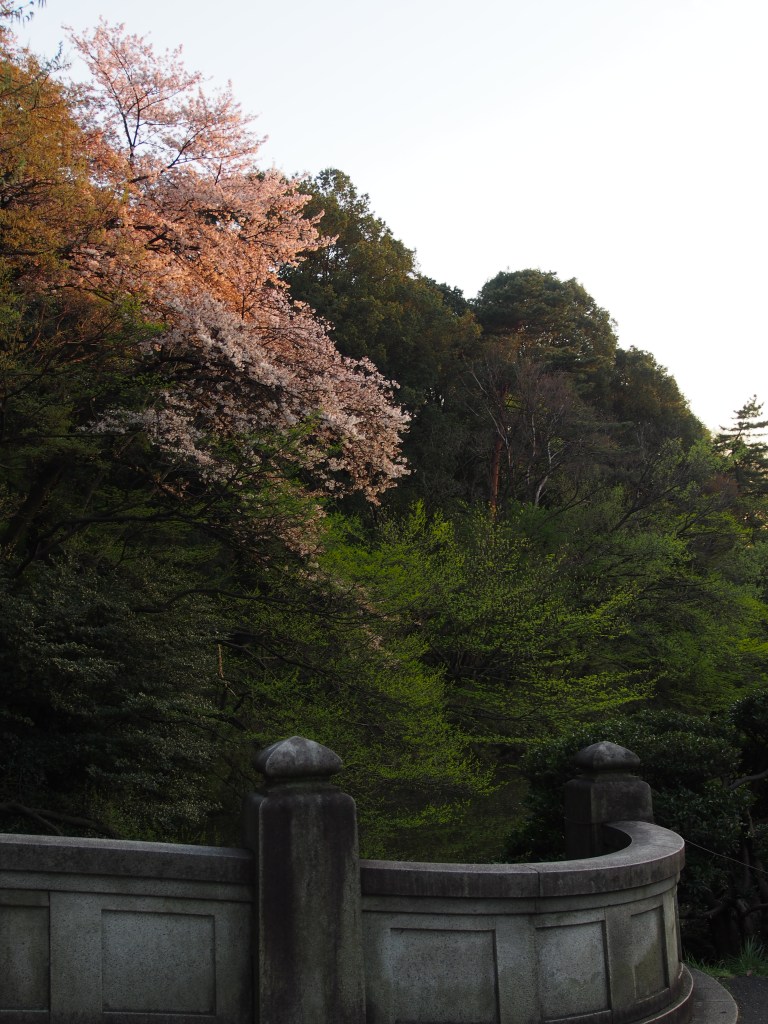 This was the view from the other side of the bridge.