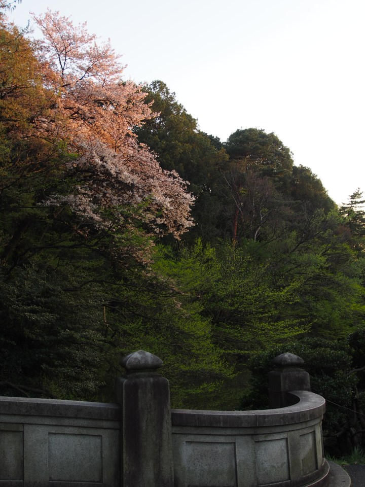 This was the view from the other side of the bridge.