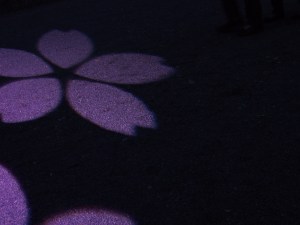 There was a number of flower light projections all down the path. 