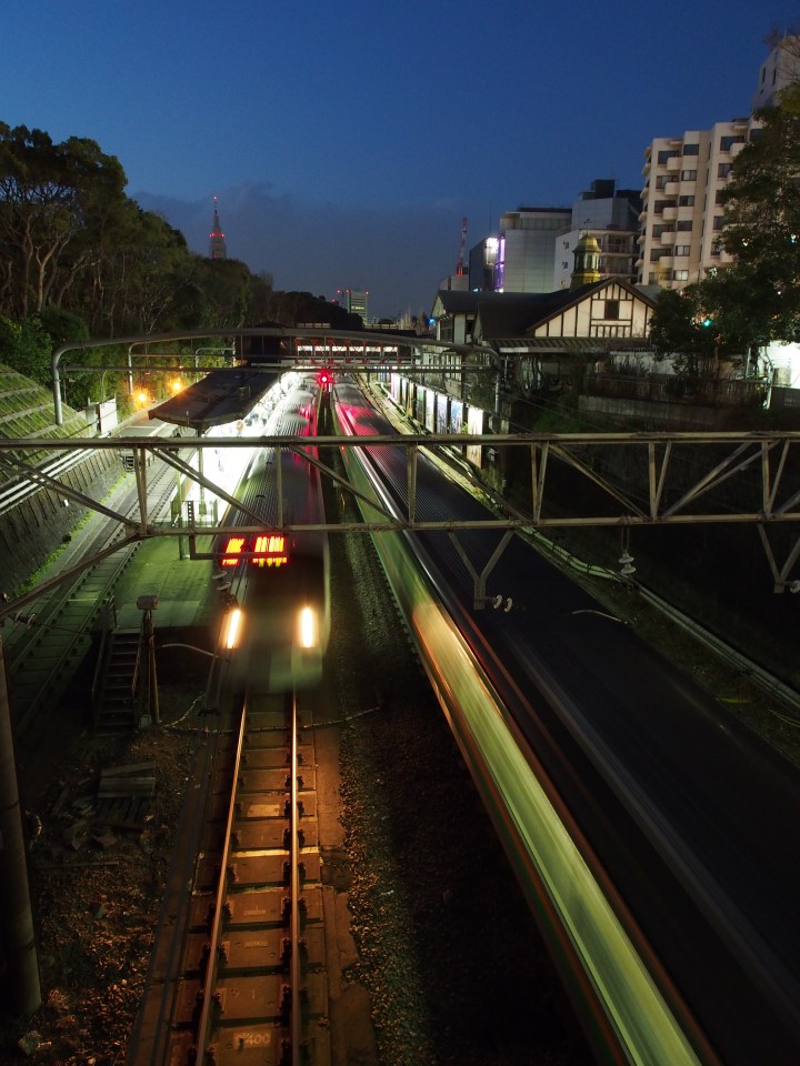 The trains are pretty wonderful to watch. 