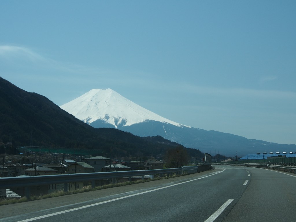 I am going to dominate your viewing area for the remainder of your day. 